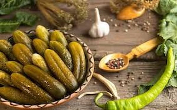 فروش خیارشور ویژه محبوب + ارزان و مقرون به صرفه